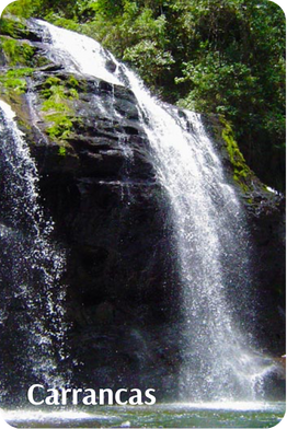 Carrancas